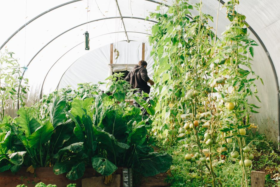 organic farming supplies