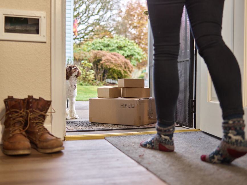 raw dog food delivery